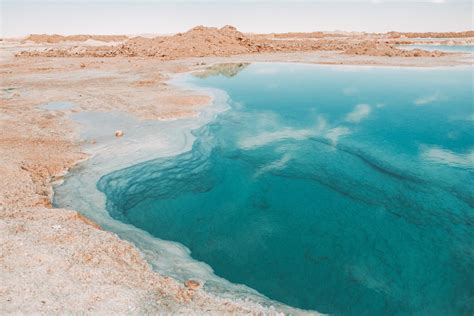 What Exactly Is An Oasis And How Do They Work What Exactly Is An Oasis And How Do They Work