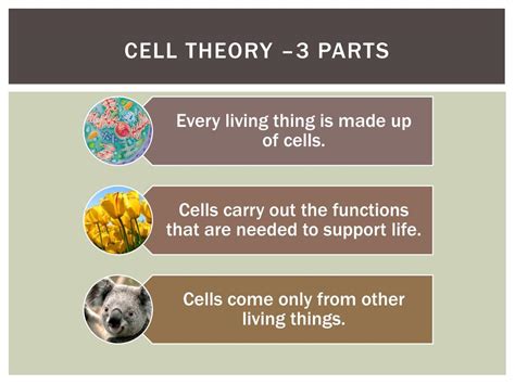 Unveiling the 3 Core Parts of the Cell Theory: What You Need to Know
