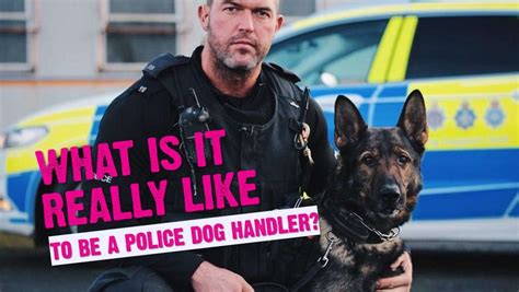 What Is It Really Like To Be A Police Dog Handler What Is It Really Like To Be A Police Dog Handler