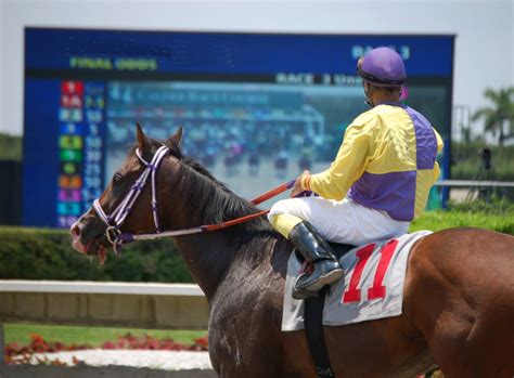 Where Can You Watch Australian Horse Racing Replays