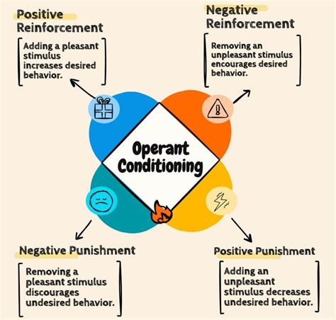 Real-life Examples of Operant Conditioning
