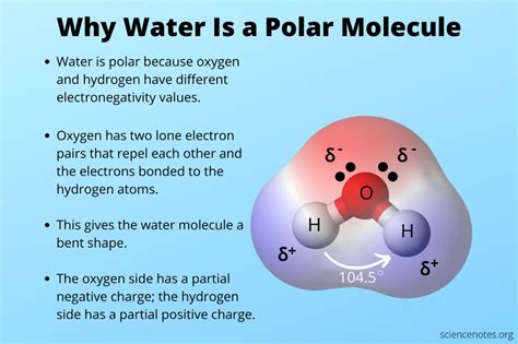 Why Water Is Polar: Unveiling Its Unique Chemistry