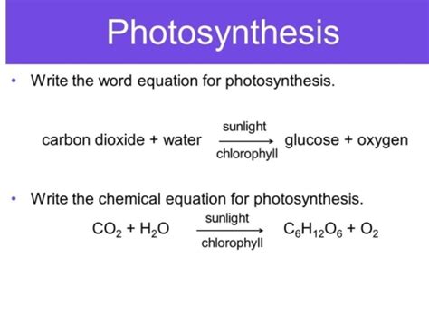 Mastering the Word Equation for Photosynthesis: Simple Yet Powerful