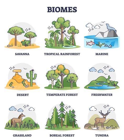 World Biomes All You Want To Know About Its 2 Types Learningmole
